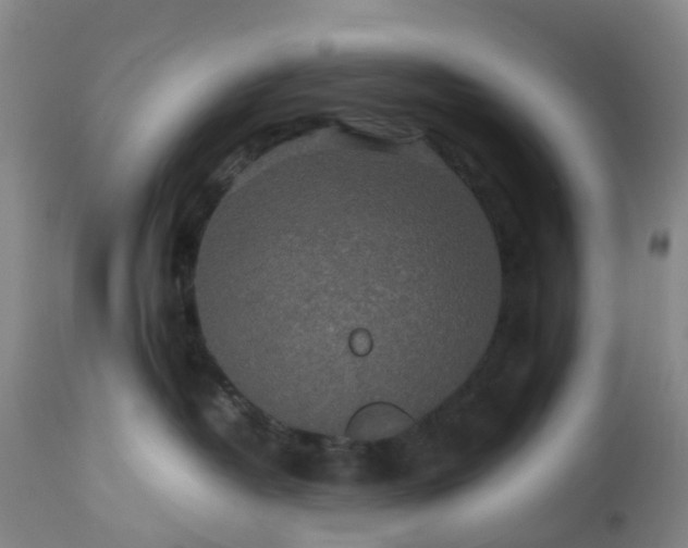 X0000113240382200909241552