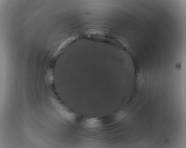 X0000113240383200909241552