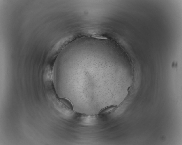 X0000113240384200909241552