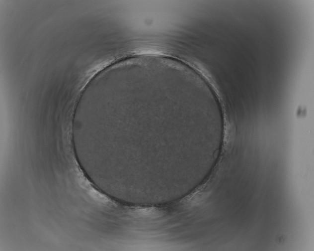 X0000113240385200909241552