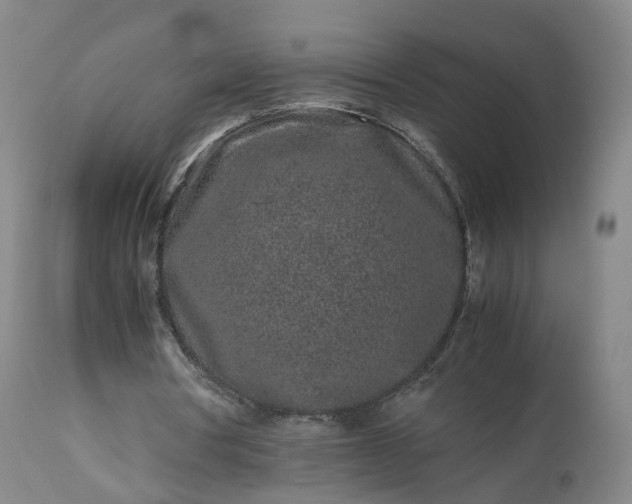 X0000113240386200909241552