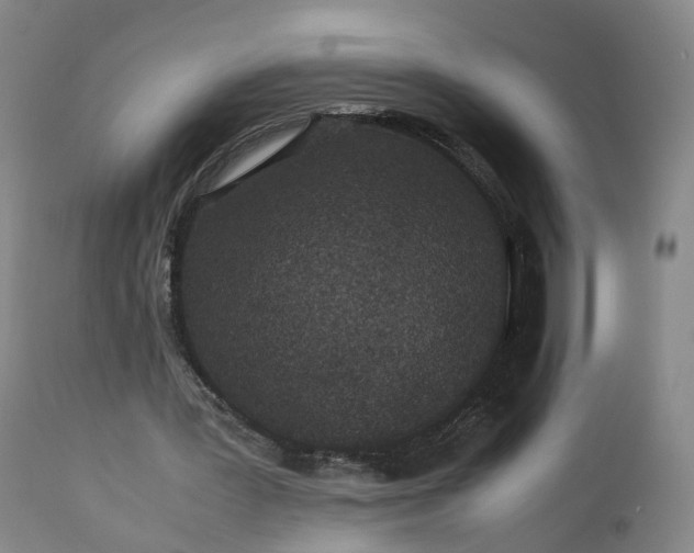 X0000113240387200909241552