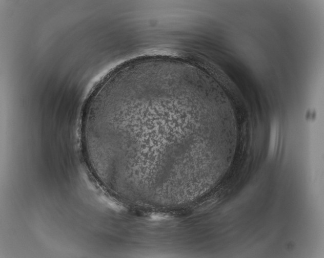 X0000113240388200909241552