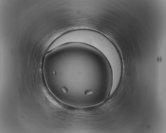 X0000113240389200909241552