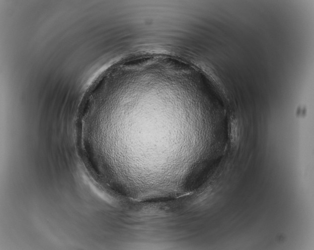 X0000113240390200909241552