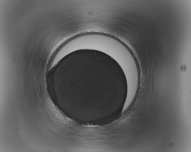 X0000113240391200909241552