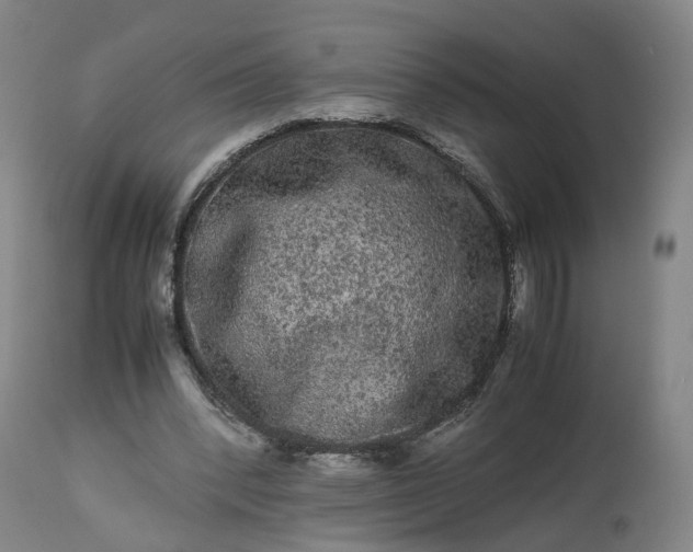 X0000113240392200909241552