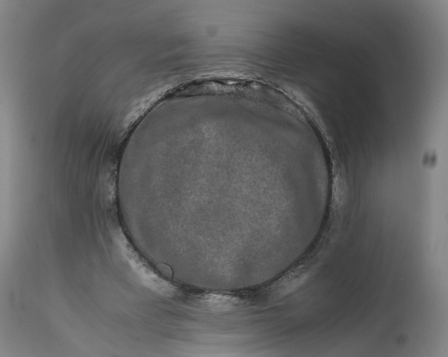 X0000113240393200909241552