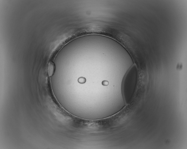 X0000113240395200909241552