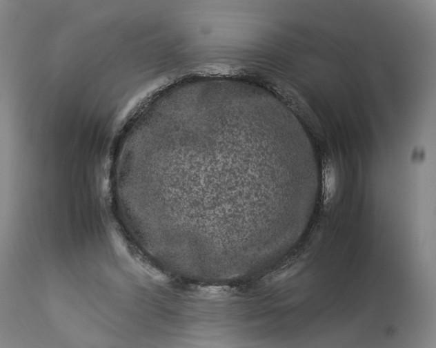 X0000113240396200909241552