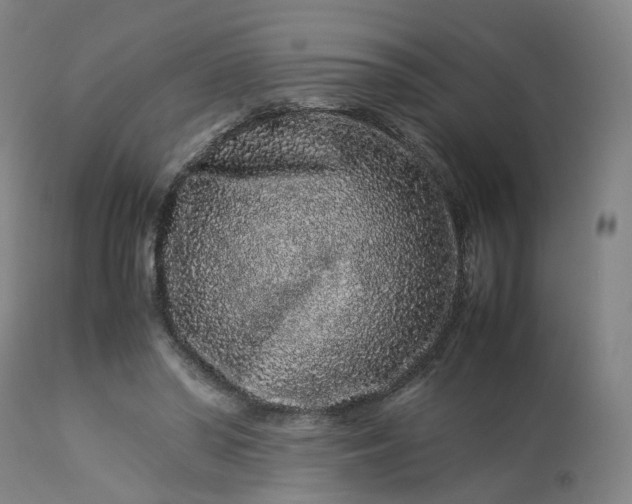 X0000113240398200909241552