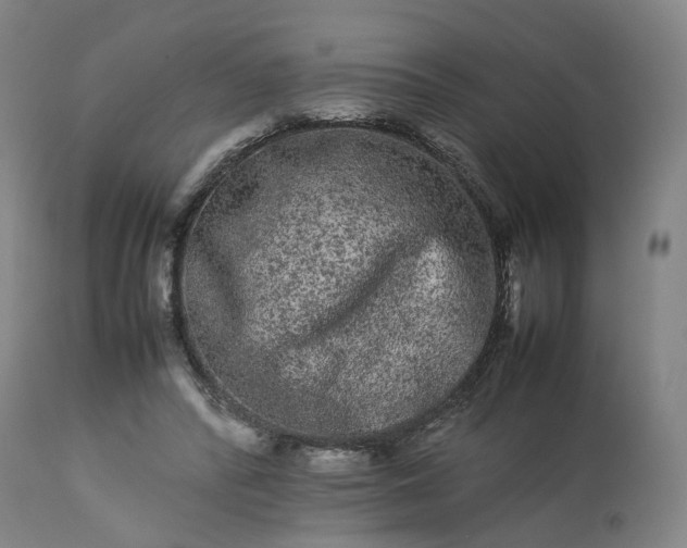 X0000113240400200909241552