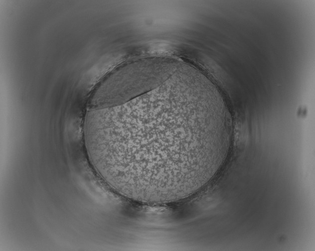 X0000113240401200909241552