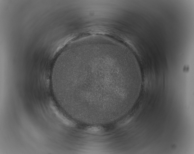 X0000113240402200909241552