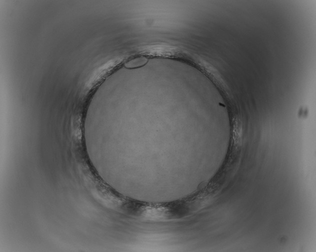 X0000113240403200909241552