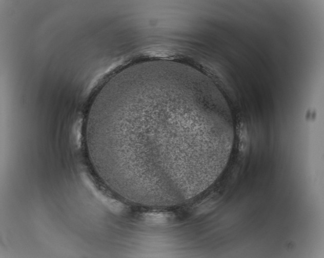 X0000113240404200909241552