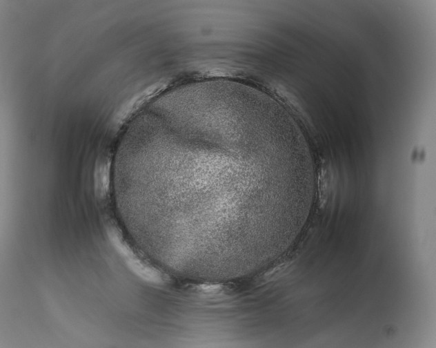 X0000113240406200909241552