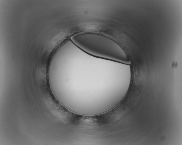 X0000113240407200909241551