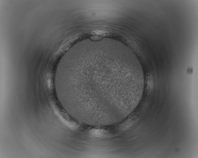 X0000113240408200909241551