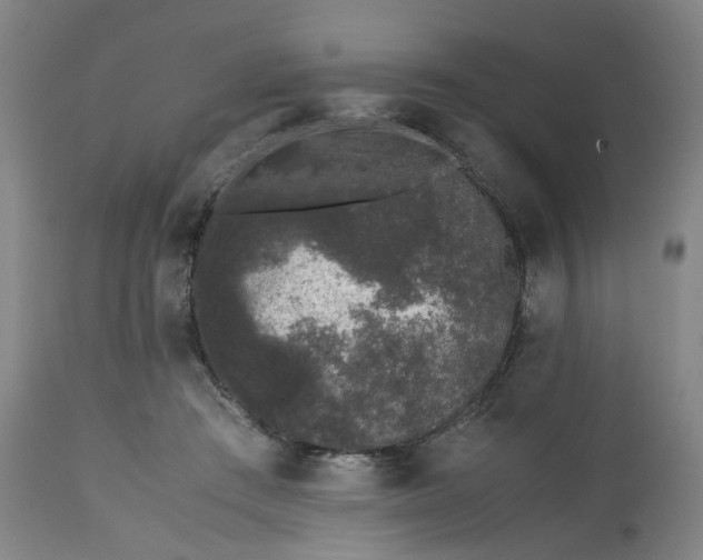 X0000113240409200909241551