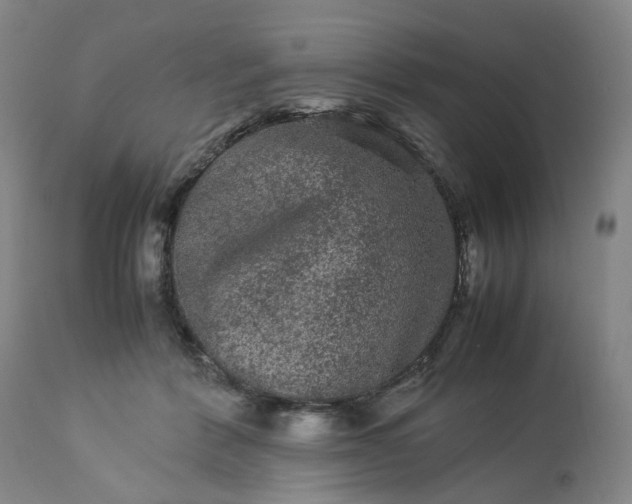 X0000113240412200909241551