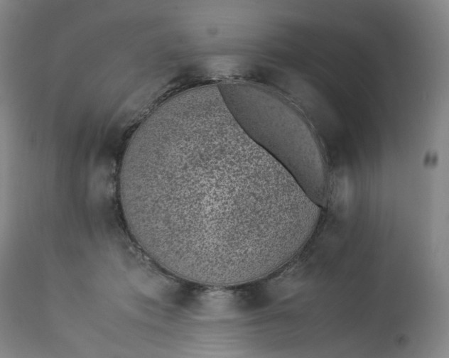 X0000113240413200909241551