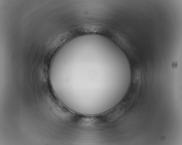 X0000113240414200909241551