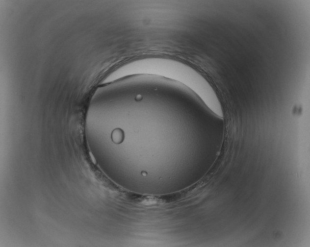 X0000113240415200909241551