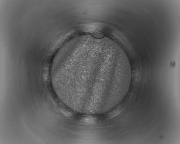 X0000113240416200909241551