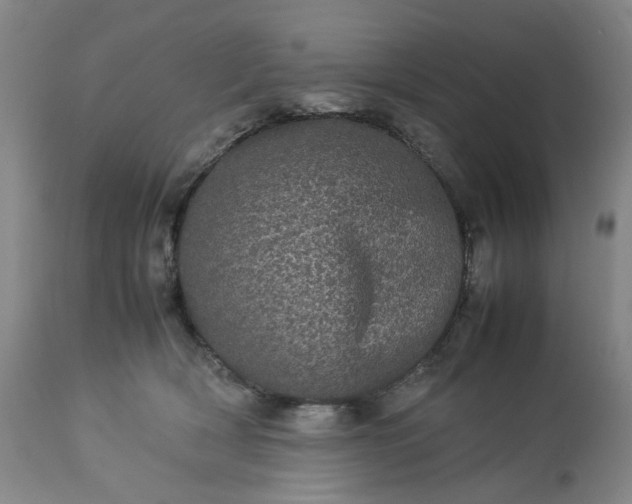 X0000113240418200909241551