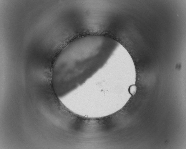 X0000113240419200909241551