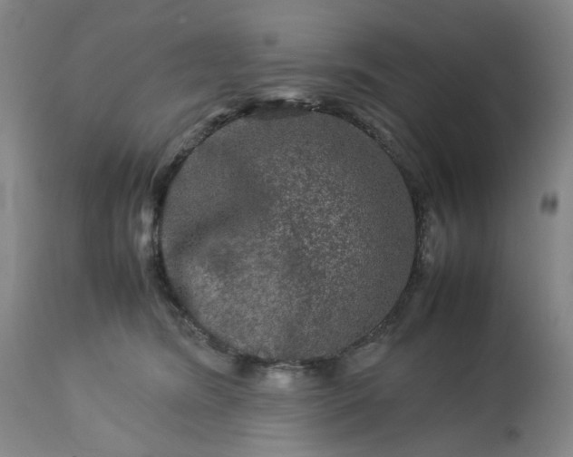 X0000113240420200909241551