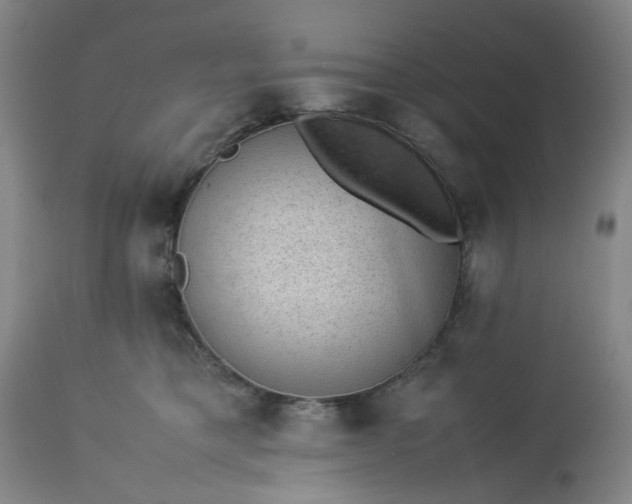 X0000113240421200909241551