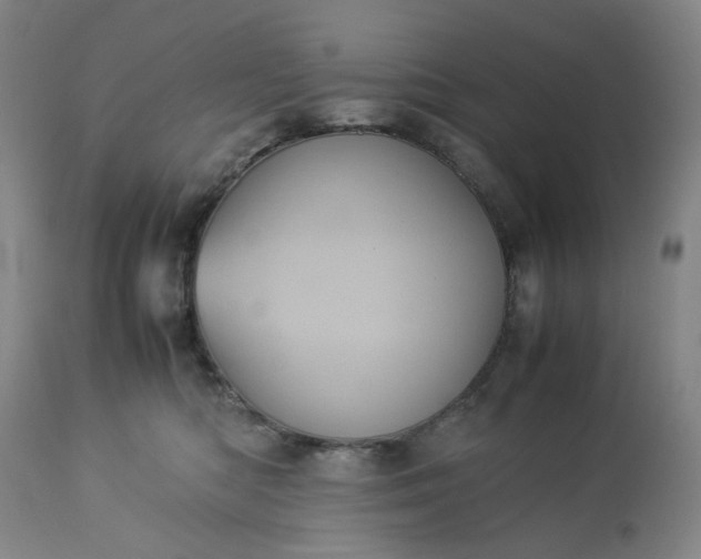 X0000113240422200909241551