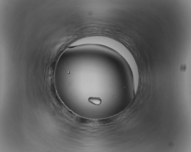 X0000113240423200909241551