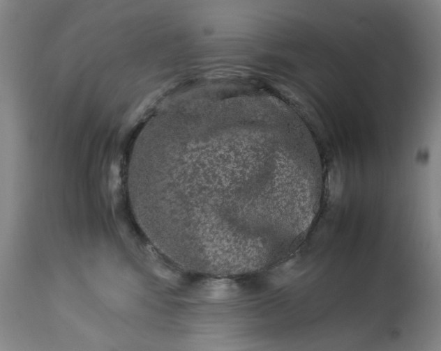 X0000113240424200909241551