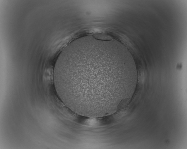 X0000113240425200909241551