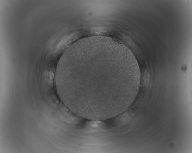 X0000113240427200909241551