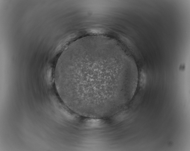 X0000113240428200909241551