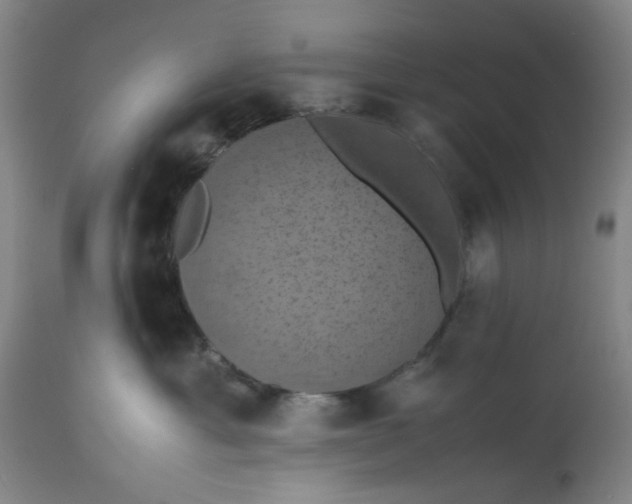 X0000113240429200909241551