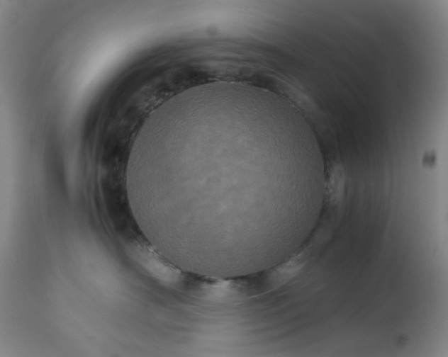 X0000113240430200909241551