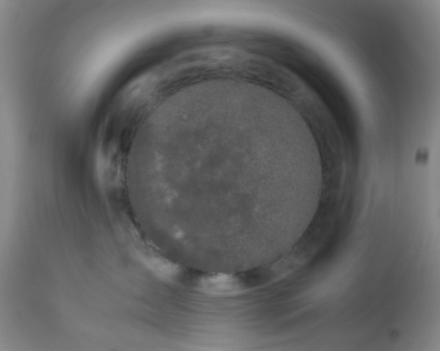 X0000113240431200909241551