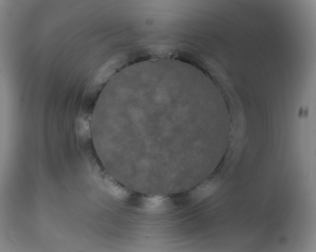 X0000113240432200909241551