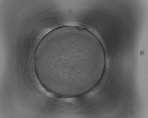 X0000113240433200909241550