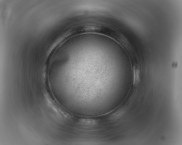 X0000113240435200909241550