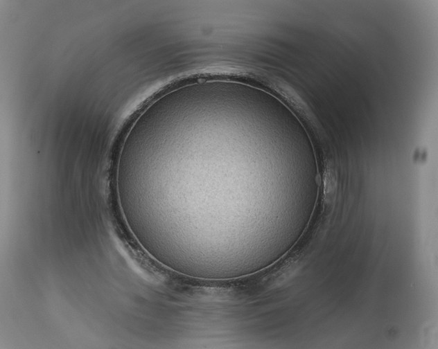 X0000113240436200909241550