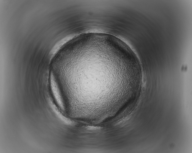 X0000113240437200909241550