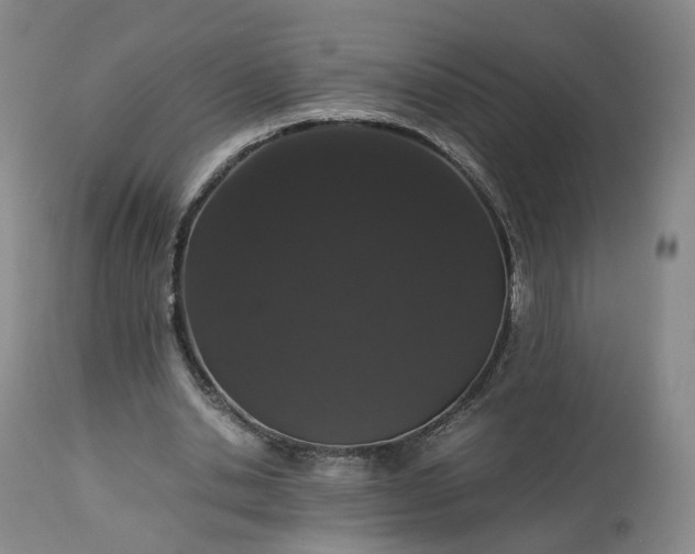 X0000113240438200909241550