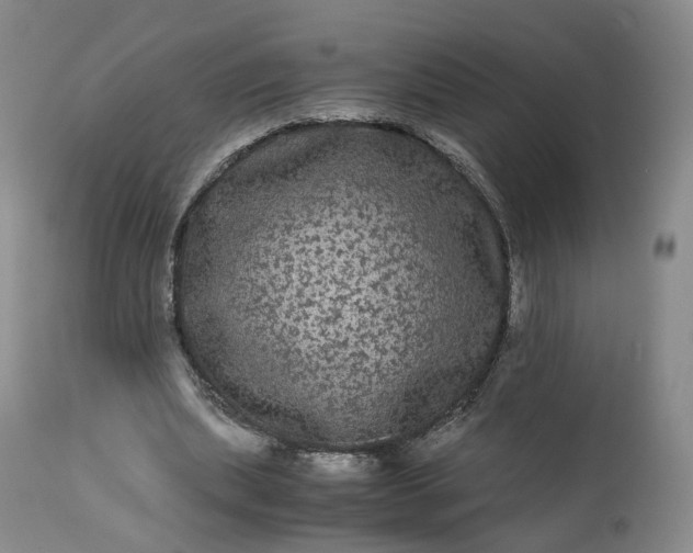 X0000113240439200909241550