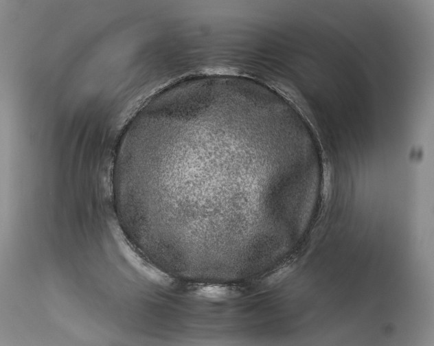 X0000113240441200909241550